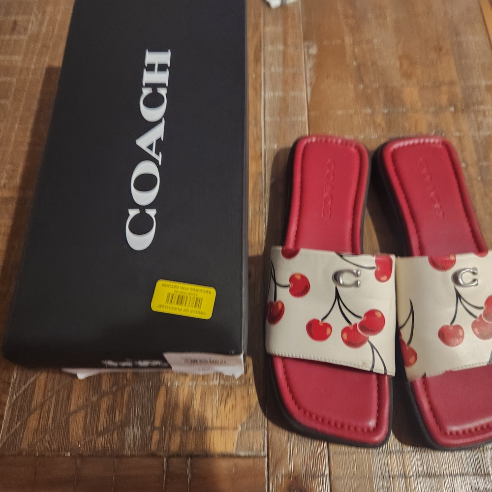 Coach Cherry Print Slides in Chalk Multi